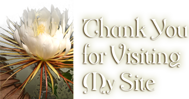 Thank You for Visiting My Site